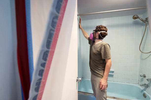 Mold Documentation for Insurance Claims in Irvine, KY