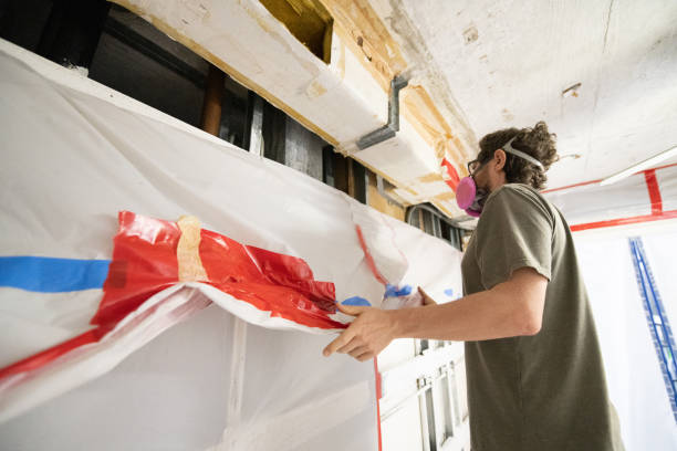 Best Mold Remediation for Healthcare Facilities  in Irvine, KY
