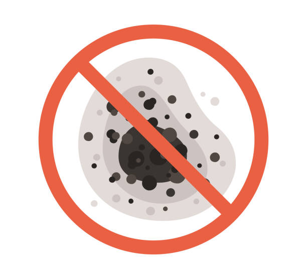 Best Dehumidification Services  in Irvine, KY