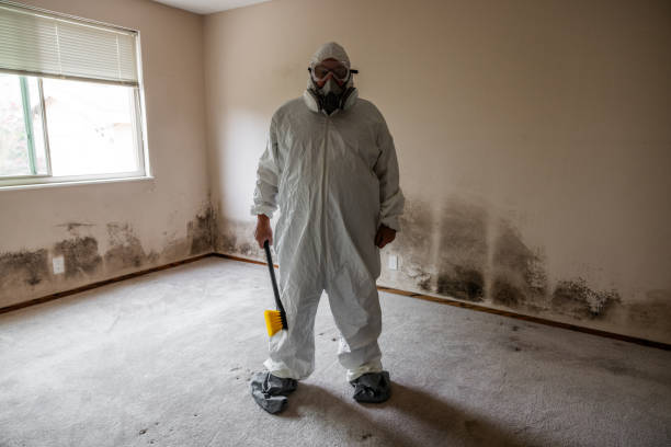 Asbestos and Lead Testing During Mold Inspection in Irvine, KY